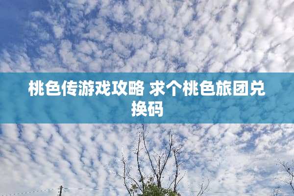 桃色传游戏攻略 求个桃色旅团兑换码