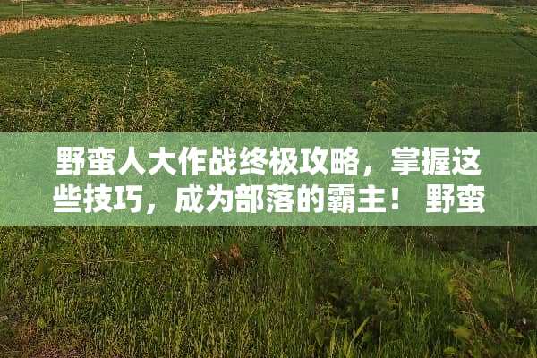 野蛮**作战终极攻略，掌握这些技巧，成为部落的霸主！ 野蛮**作战攻略