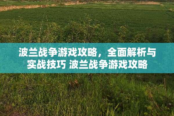 波兰战争游戏攻略，全面解析与实战技巧 波兰战争游戏攻略