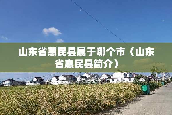 山东省惠民县属于哪个市（山东省惠民县简介）