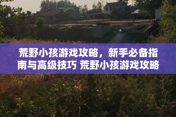 荒野小孩游戏攻略，新手必备指南与高级技巧 荒野小孩游戏攻略