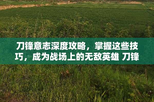刀锋意志深度攻略，掌握这些技巧，成为战场上的无敌英雄 刀锋意志攻略