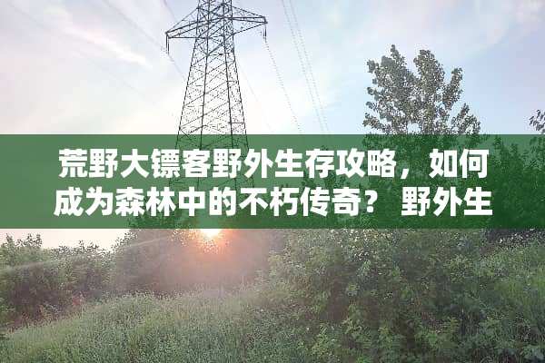 荒野大镖客野外生存攻略，如何成为森林中的不朽传奇？ 野外生存游戏攻略