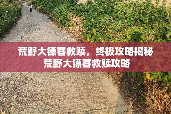 荒野大镖客救赎，终极攻略揭秘 荒野大镖客救赎攻略
