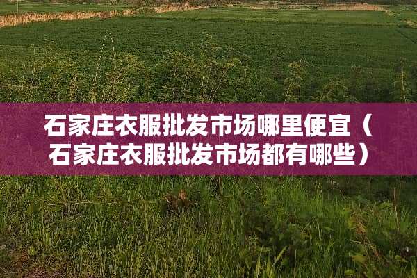 石家庄衣服批发市场哪里便宜（石家庄衣服批发市场都有哪些）