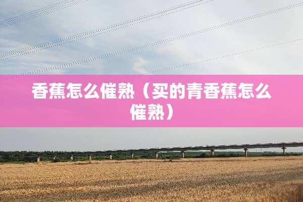 香蕉怎么催熟（买的青香蕉怎么催熟）