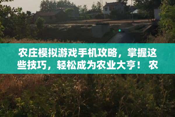 农庄模拟游戏手机攻略，掌握这些技巧，轻松成为农业大亨！ 农庄游戏手机攻略