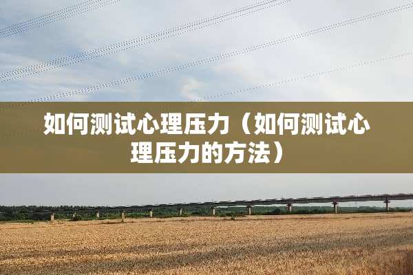 如何测试心理压力（如何测试心理压力的方法）