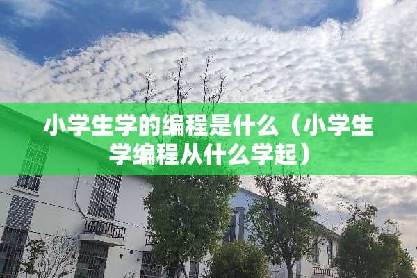 小学生学的编程是什么（小学生学编程从什么学起）