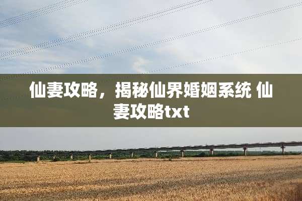 仙妻攻略，揭秘仙界婚姻系统 仙妻攻略txt