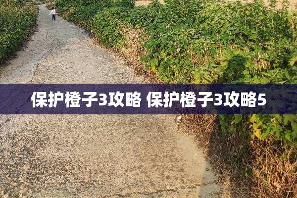 保护橙子3攻略 保护橙子3攻略50