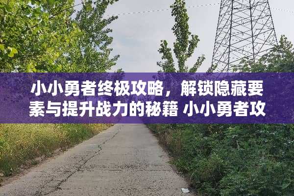小小勇者终极攻略，解锁隐藏要素与提升战力的秘籍 小小勇者攻略