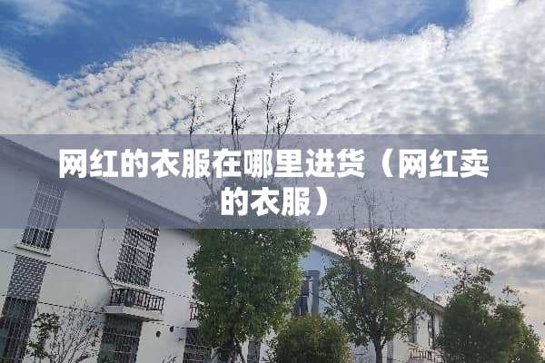 网红的衣服在哪里进货（网红卖的衣服）
