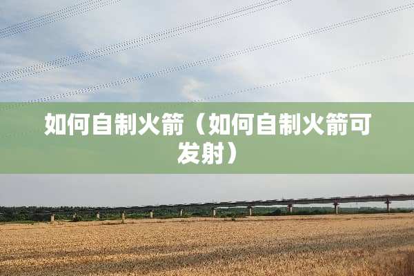 如何自制火箭（如何自制火箭可发射）
