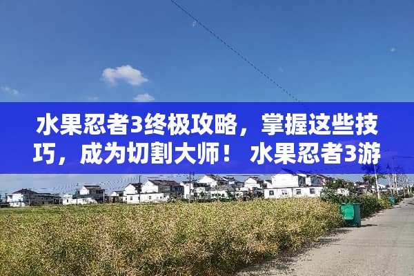 水果忍者3终极攻略，掌握这些技巧，成为切割大师！ 水果忍者3游戏攻略