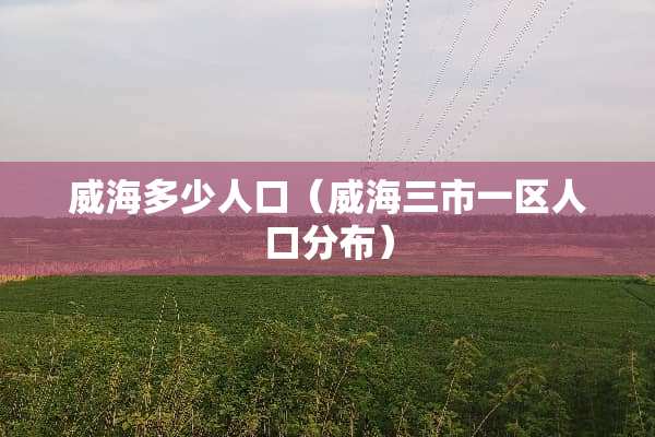 威海多少人口（威海三市一区人口分布）