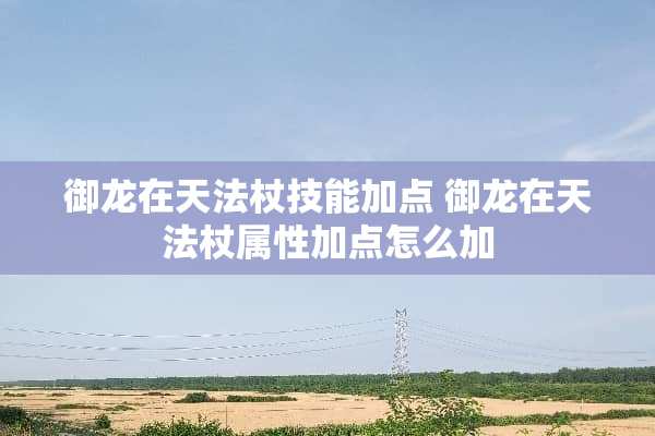 御龙在天法杖技能加点 御龙在天法杖属性加点怎么加