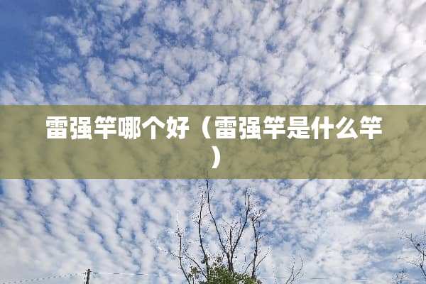 雷强竿哪个好（雷强竿是什么竿）