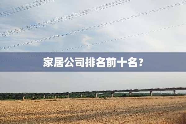 家居公司排名前十名？