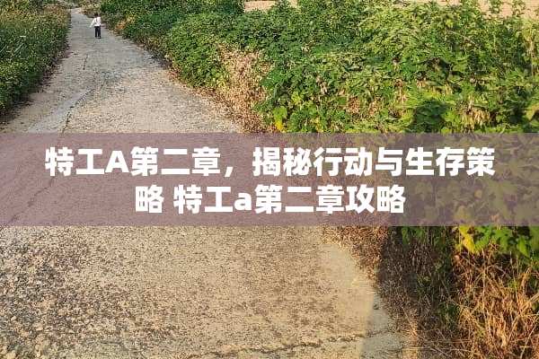 特工A第二章，揭秘行动与生存策略 特工a第二章攻略