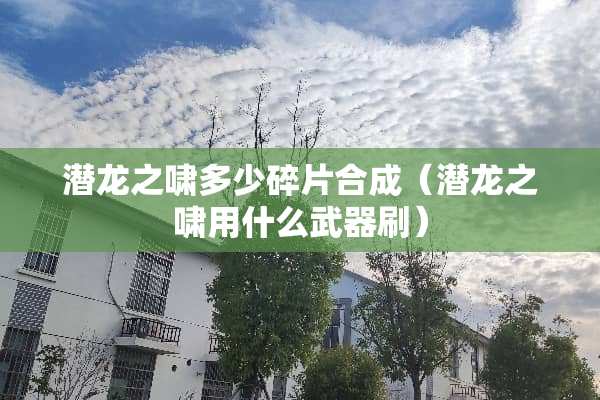 潜龙之啸多少碎片合成（潜龙之啸用什么**刷）