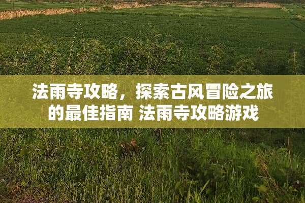 法雨寺攻略，探索古风冒险之旅的最佳指南 法雨寺攻略游戏