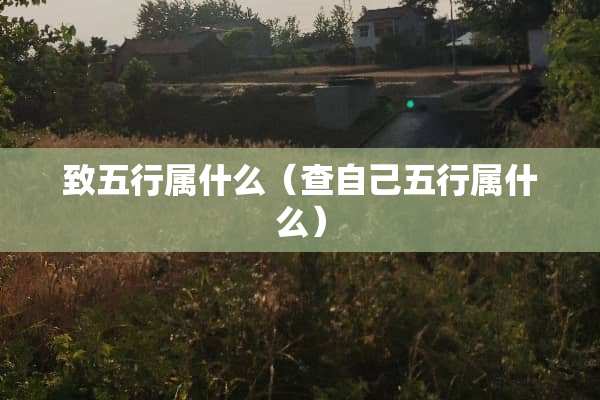 致五行属什么（查自己五行属什么）