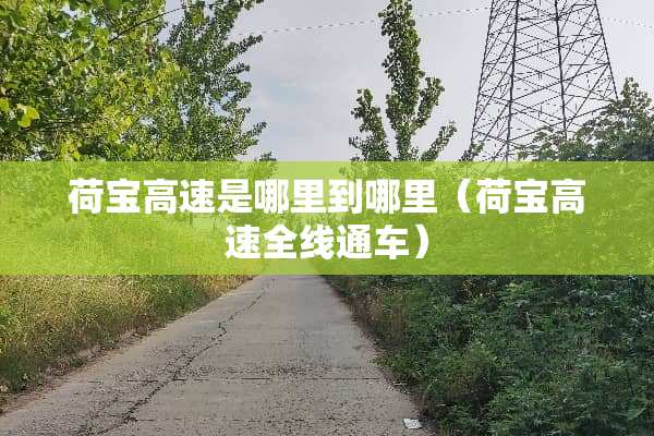 荷宝高速是哪里到哪里（荷宝高速全线通车）