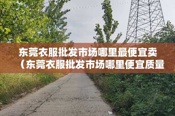 东莞衣服批发市场哪里最便宜卖(东莞衣服批发市场哪里便宜质量又好)