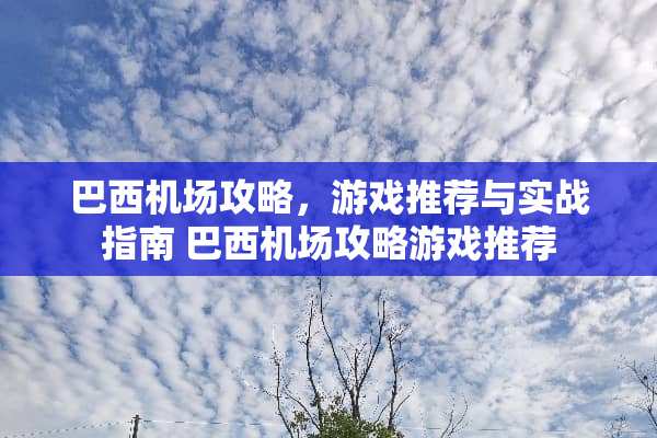 巴西机场攻略，游戏推荐与实战指南 巴西机场攻略游戏推荐