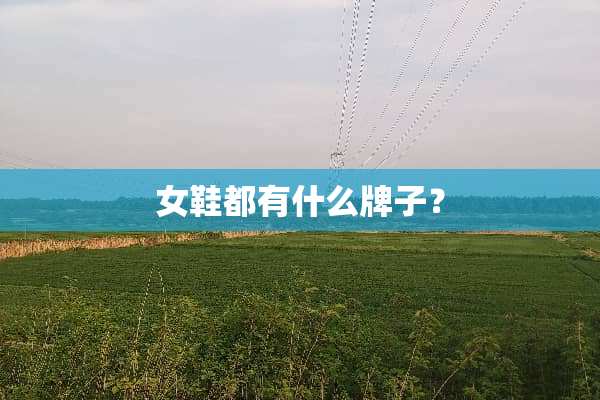 女鞋都有什么牌子？