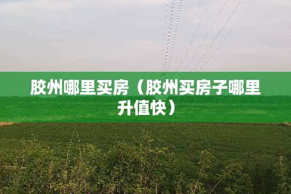 胶州哪里买房（胶州买房子哪里升值快）