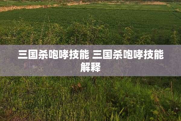三国杀咆哮技能 三国杀咆哮技能解释