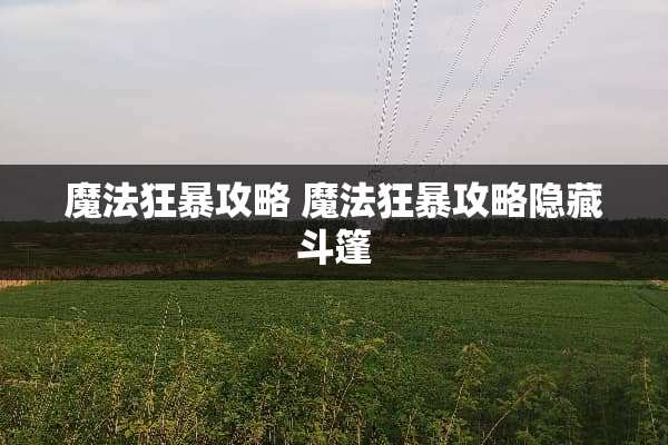 魔法狂暴攻略 魔法狂暴攻略隐藏斗篷