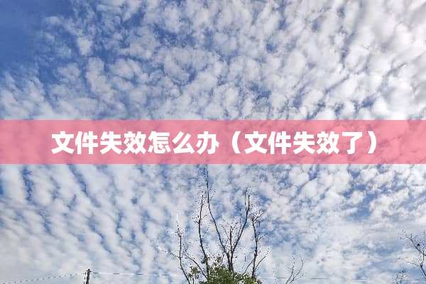 文件失效怎么办（文件失效了）