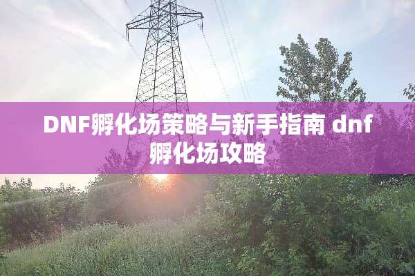 DNF孵化场策略与新手指南 dnf孵化场攻略