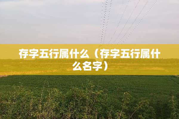存字五行属什么（存字五行属什么名字）