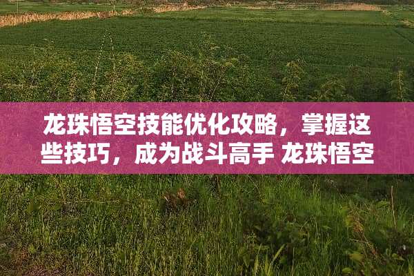 龙珠悟空技能优化攻略，掌握这些技巧，成为战斗高手 龙珠悟空技能