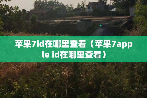 苹果7id在哪里查看（苹果7apple id在哪里查看）