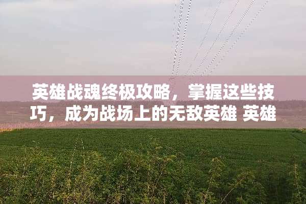 英雄战魂终极攻略，掌握这些技巧，成为战场上的无敌英雄 英雄战魂攻略