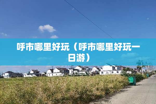 呼市哪里好玩（呼市哪里好玩一日游）
