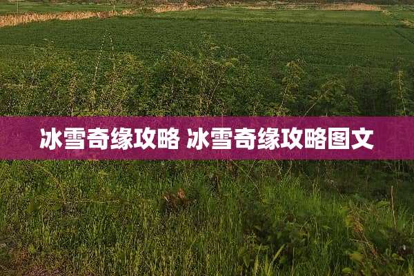 冰雪奇缘攻略 冰雪奇缘攻略图文