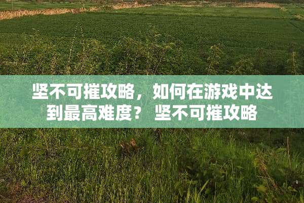 坚不可摧攻略，如何在游戏中达到最高难度？ 坚不可摧攻略