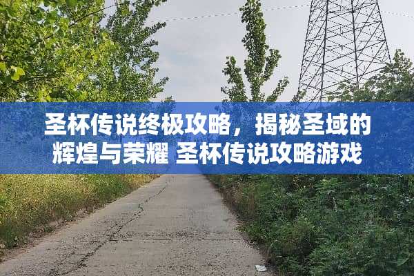圣杯传说终极攻略，揭秘圣域的辉煌与荣耀 圣杯传说攻略游戏
