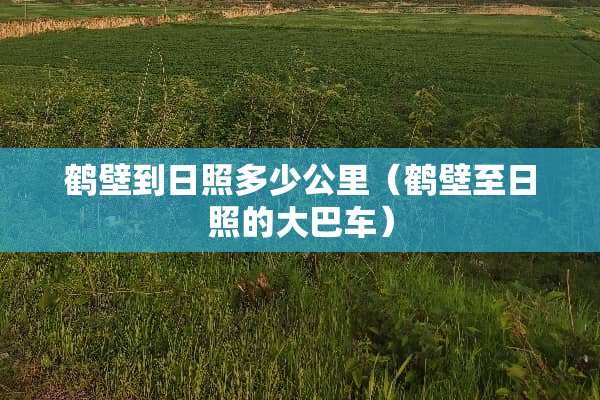 鹤壁到日照多少公里（鹤壁至日照的大巴车）