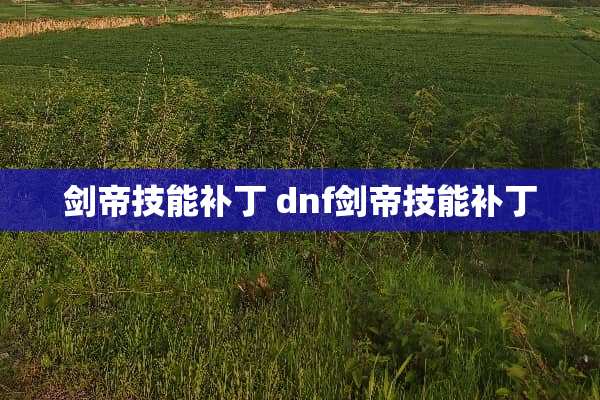 剑帝技能补丁 dnf剑帝技能补丁