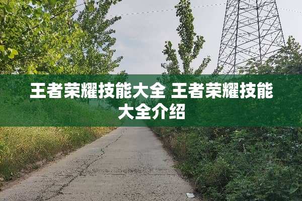 王者荣耀技能大全 王者荣耀技能大全介绍