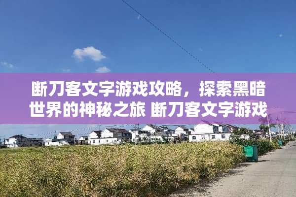 断刀客文字游戏攻略，探索黑暗世界的神秘之旅 断刀客文字游戏攻略