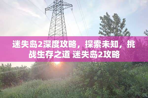 迷失岛2深度攻略，探索未知，挑战生存之道 迷失岛2攻略