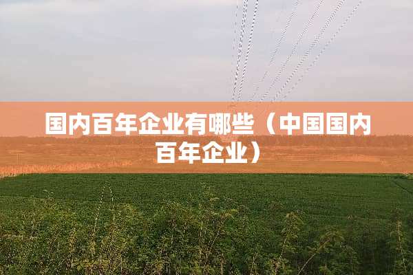 国内百年企业有哪些（中国国内百年企业）